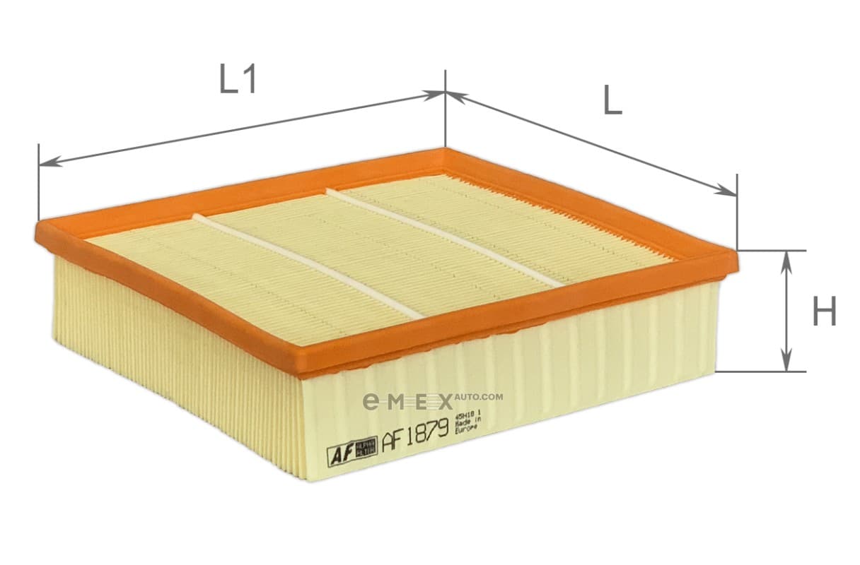 OEM FILTER ASSY, AIR ELEMENT AF1879