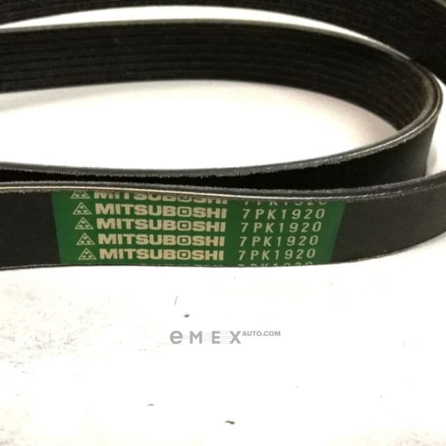 OEM BELT, V 7PK1920