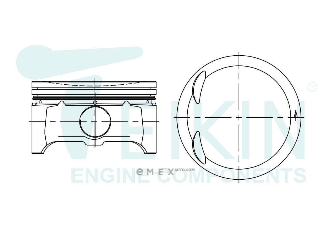 OEM PISTON ASSY 42209STD