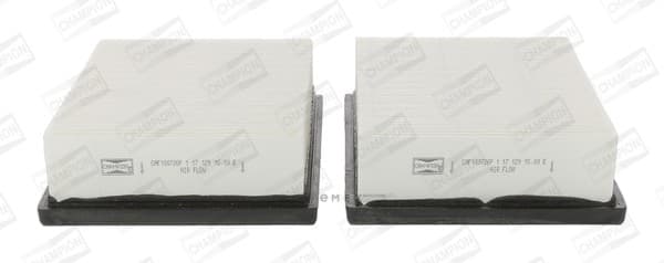 OEM FILTER ASSY, AIR ELEMENT CAF100726P