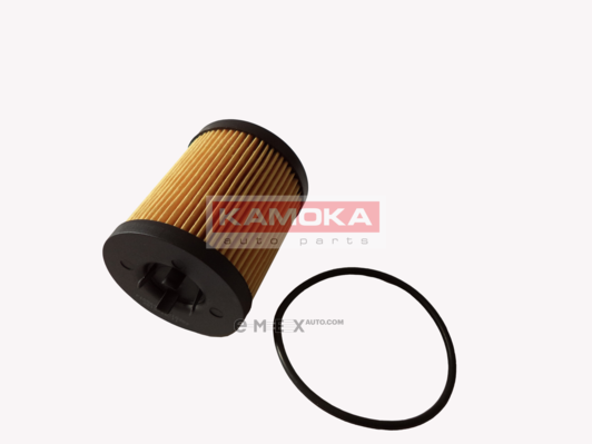 OEM OIL FILTER F105601