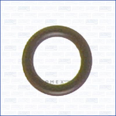 OEM SEAL RING 16004200