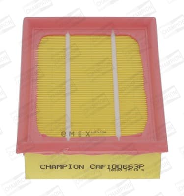 OEM FILTER ASSY, AIR ELEMENT CAF100663P