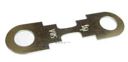 OEM FUSE N10424903