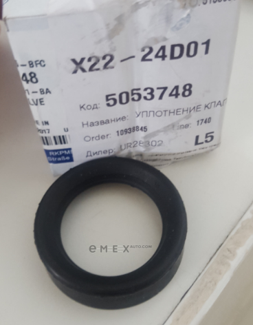 OEM SEAL RING 5053748