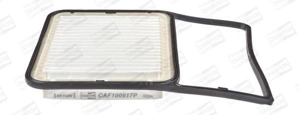 OEM CAF100917P