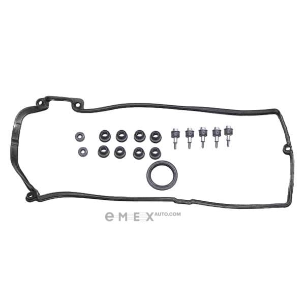 OEM REPAIR KIT, ENGINE 2430397000