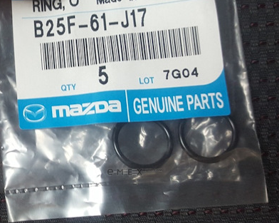 OEM DICHTRING B25F61J17