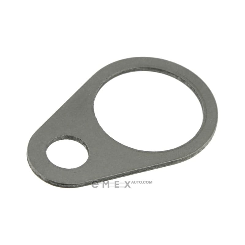 OEM LOCK PLATE 05450