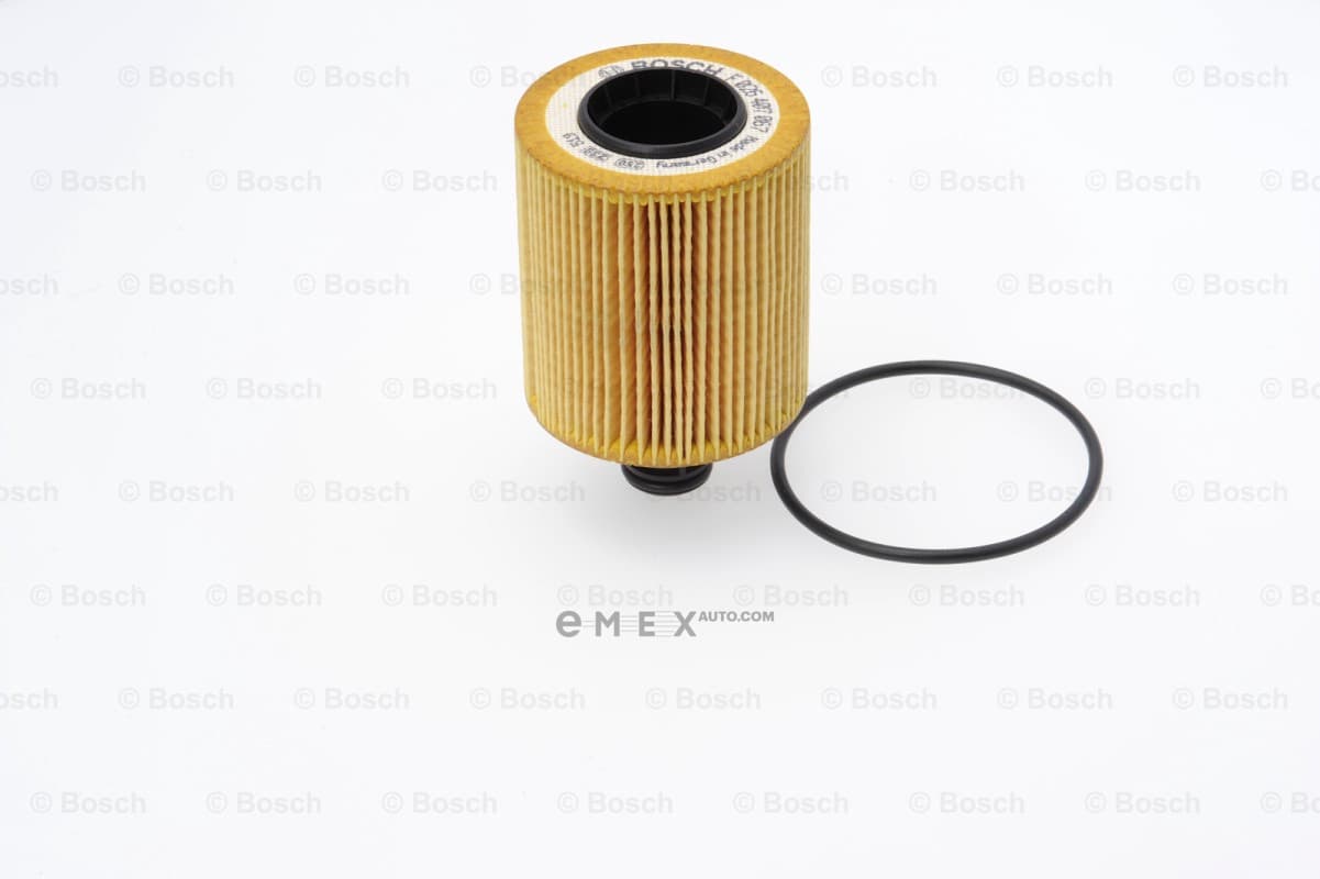 OEM AA/MKF - FILTERS F026407067