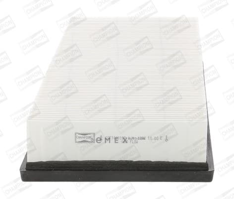 OEM FILTER ASSY, AIR ELEMENT CAF100918P