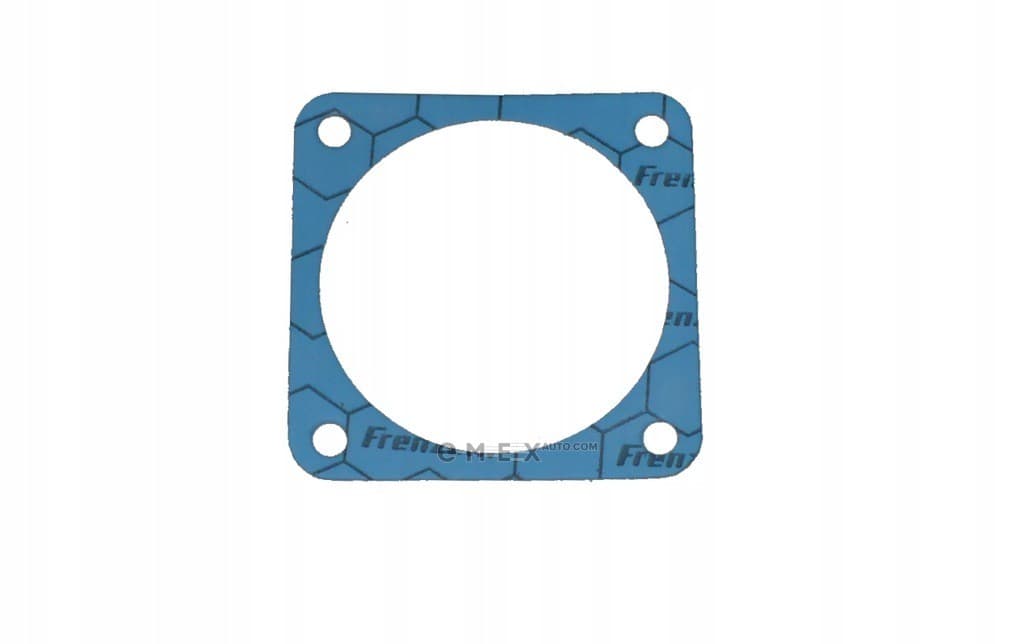 OEM GASKET,T/BODY 90412686