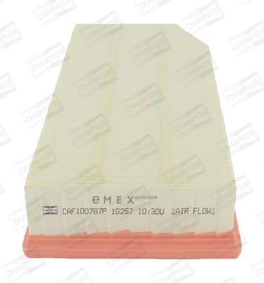 OEM FILTER ASSY, AIR ELEMENT CAF100787P