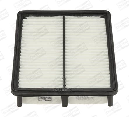 OEM FILTER ASSY, AIR ELEMENT CAF100968P