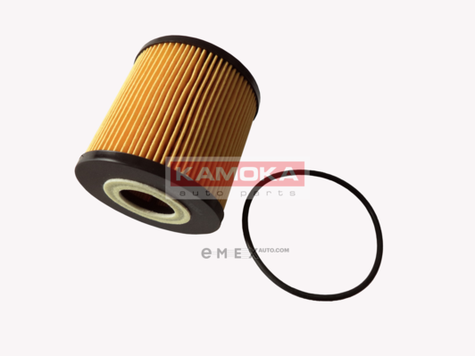 OEM OIL FILTER F107001