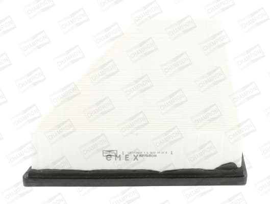 OEM FILTER ASSY, AIR ELEMENT CAF100861P