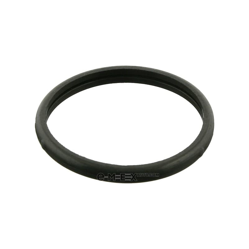 OEM O-RING F. THERMOSTAT 10260