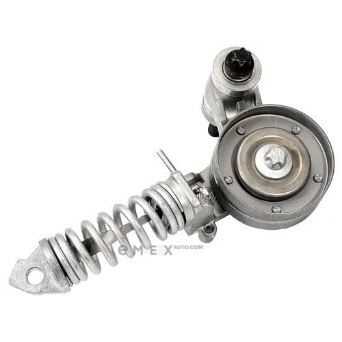 OEM TENSIONER ASSY, PULLEY 25195388