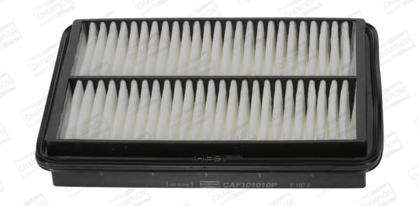 OEM FILTER ASSY, AIR ELEMENT CAF101010P