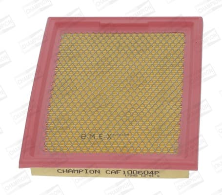 OEM FILTER ASSY, AIR ELEMENT CAF100604P