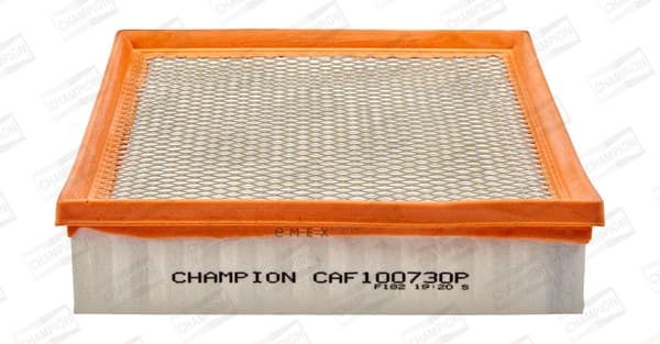 OEM FILTER ASSY, AIR ELEMENT CAF100730P