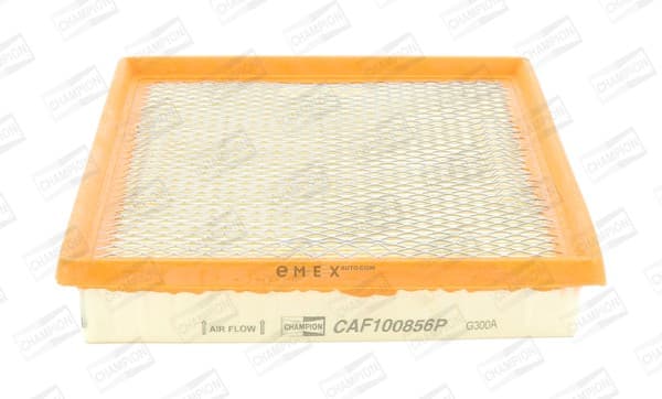 OEM FILTER ASSY, AIR ELEMENT CAF100856P