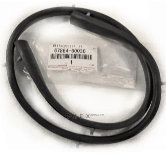 OEM WEATHERSTRIP, DOOR GLASS 6786460030