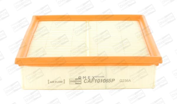 OEM CAF101065P