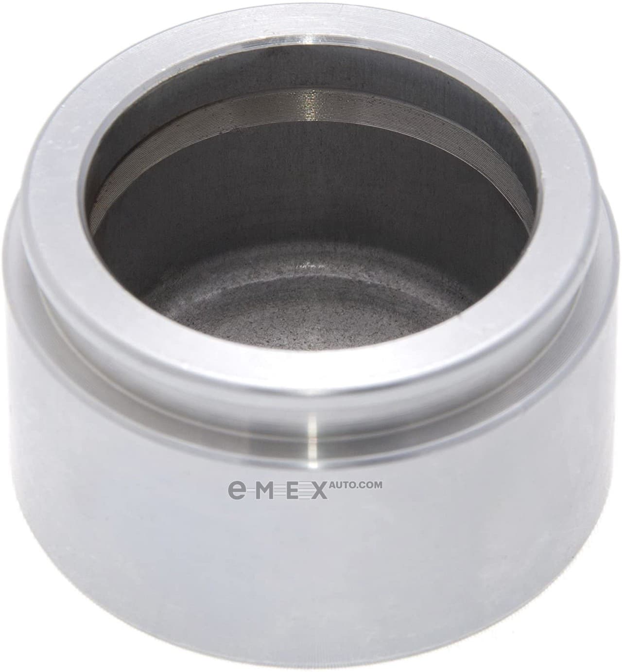 OEM PISTON, DISC BR 4773260010