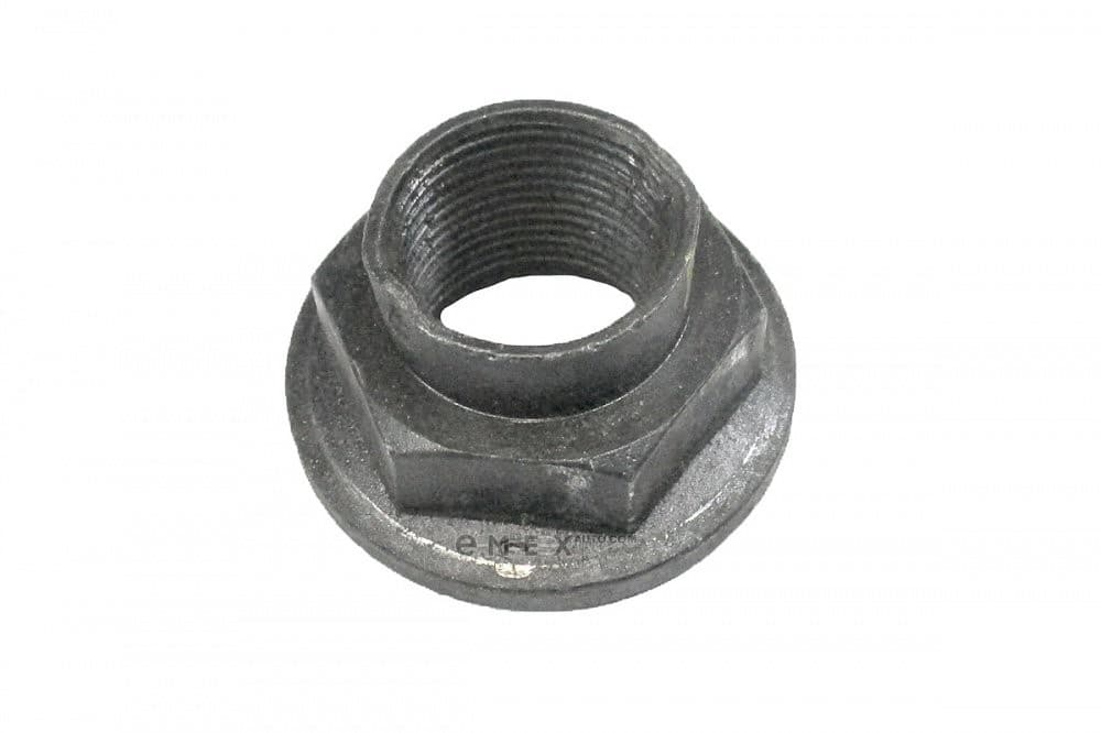 OEM NUT WHT003842