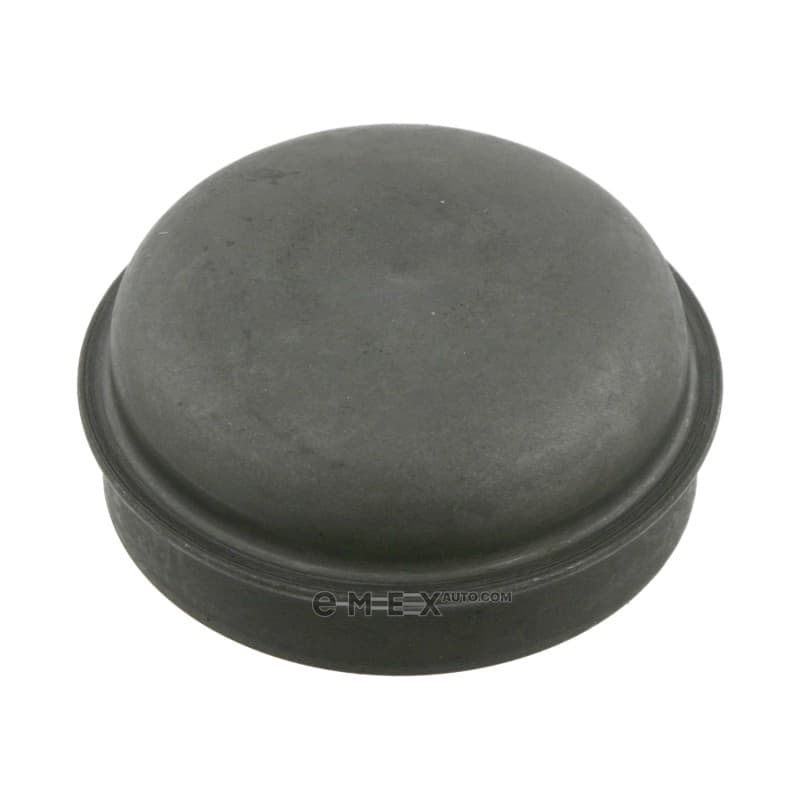 OEM CAP, WHEEL HUB 10904947