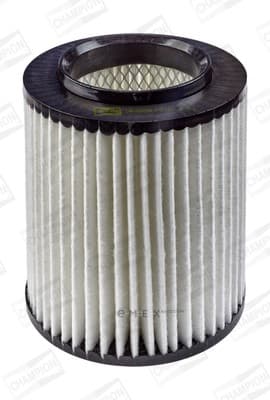 OEM FILTER ASSY, AIR ELEMENT CAF100499C