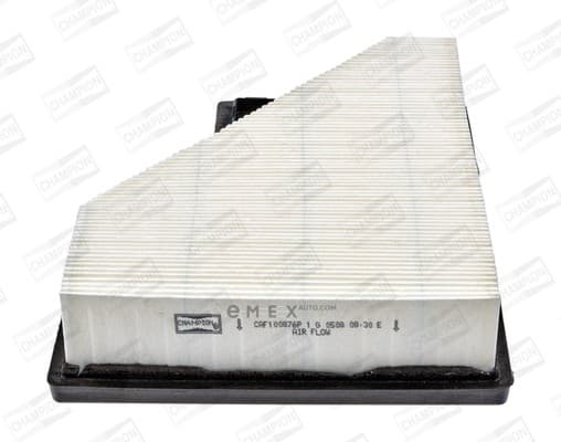 OEM FILTER ASSY, AIR ELEMENT CAF100876P