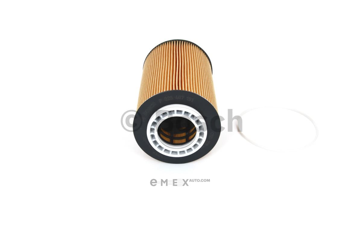 OEM OIL FILTER F026407191