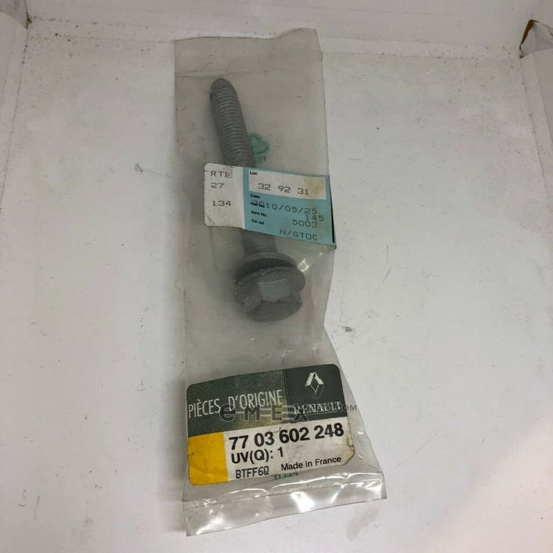 OEM BOLT, METAL 7703602248