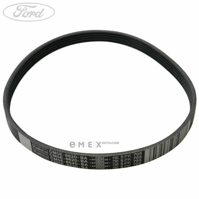 OEM BELT, V 5113695