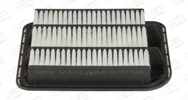 OEM FILTER ASSY, AIR ELEMENT CAF101011P