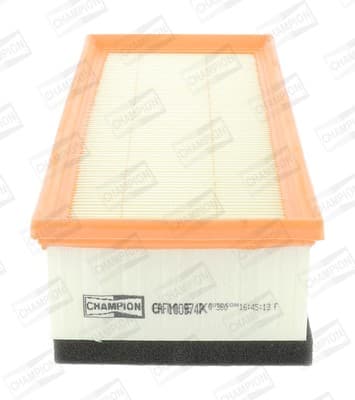 OEM FILTER ASSY, AIR ELEMENT CAF100974P