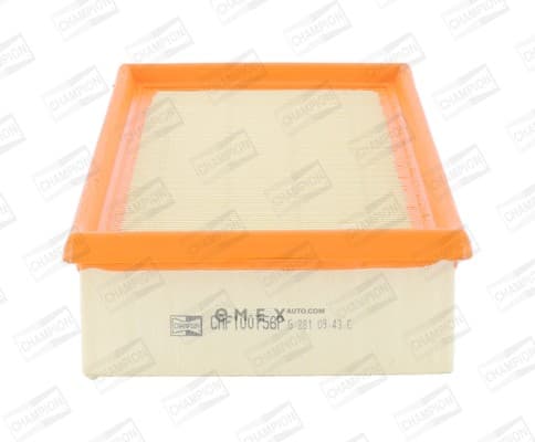 OEM FILTER ASSY, AIR ELEMENT CAF100756P