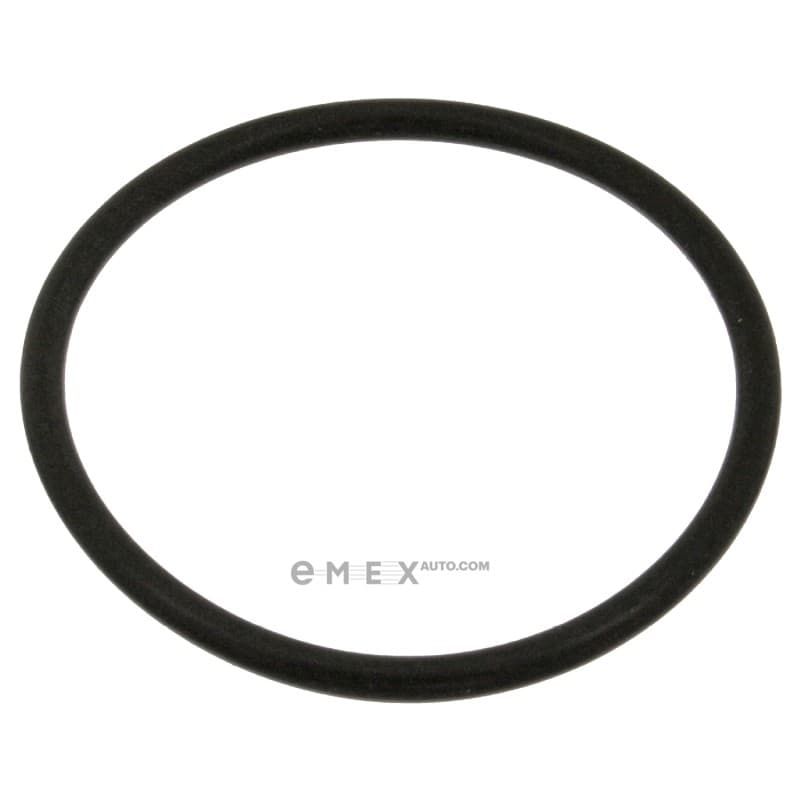 OEM O-RING 18774