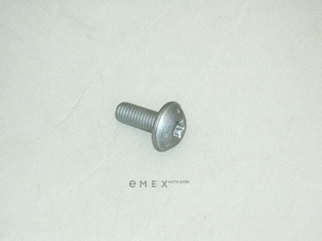 OEM SCREW WHT001606