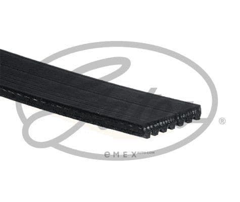 OEM BELT, V 7PK3120HD