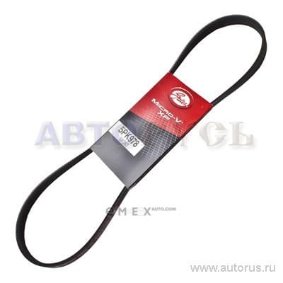 OEM BELT, V 5PK978