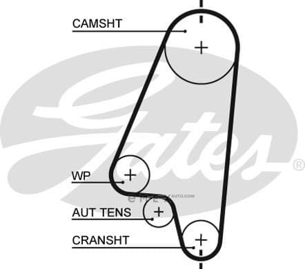 OEM BELT, TIMING 5310XS