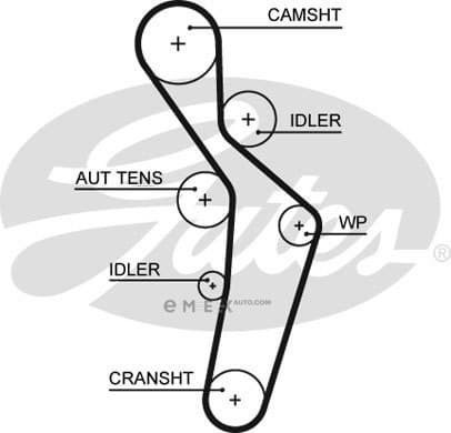 OEM BELT, TIMING 5616XS