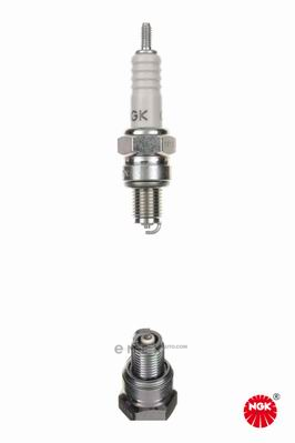 OEM SPARK PLUG C6HSA