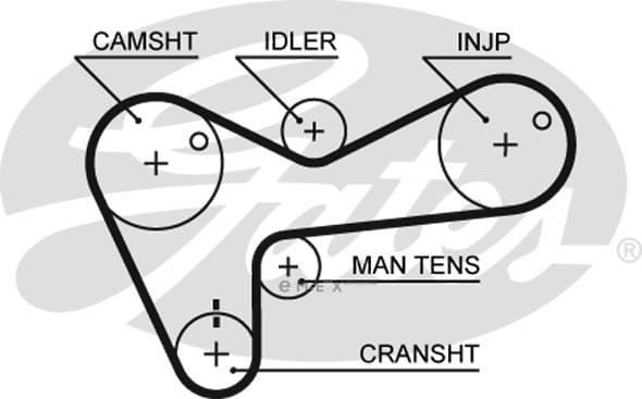 OEM BELT, TIMING 5306