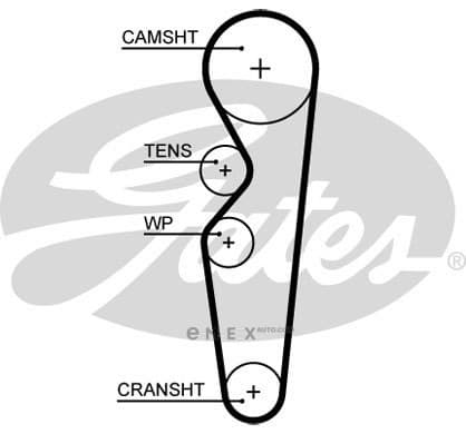 OEM BELT, TIMING 5665XS