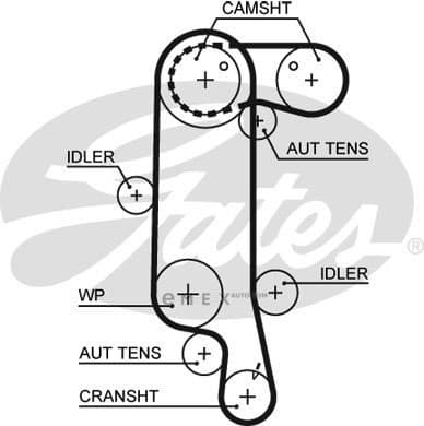 OEM BELT, V 5565XS