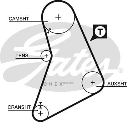 OEM AR-SYNCHRONOUS BELTS 5069